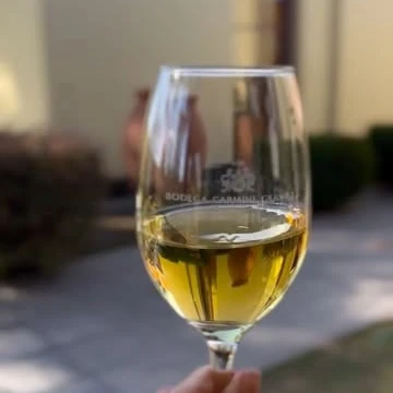 Copa de vino blanco de la bodega